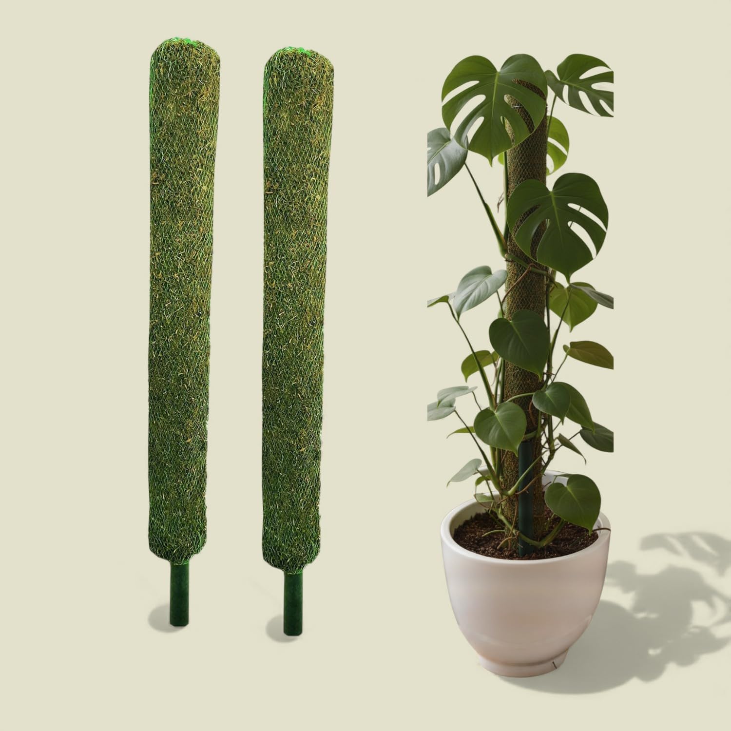 Shiv Traders Moss Stick for Plants Support (3 Ft, Set of 2) | Green Grass Pole for Money Plant & Climbing Plants | Coir Moss Pole for Indoor & Outdoor Plants | Plant Support Stick for Monstera,-picture-32