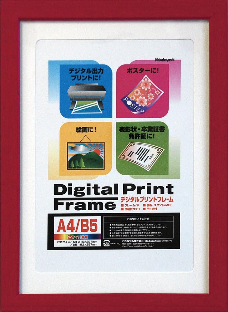 NAKABAYASHI F-DPW-A3-W Photo Frame, White, A3/B4