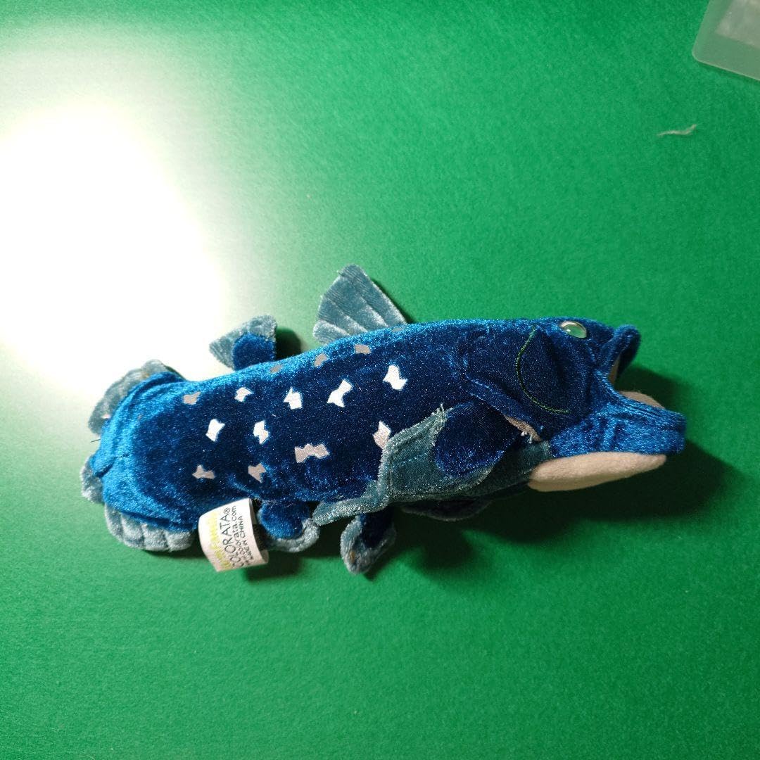 Amazon.co.jp: シーラカンス ぬいぐるみ 沼津深海水族館 : おもちゃ