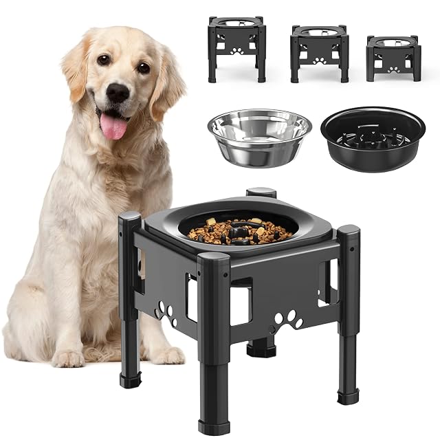 Lewondr Dispensador de Agua para Perros, Platos Elevados con 3 Alturas Ajustables