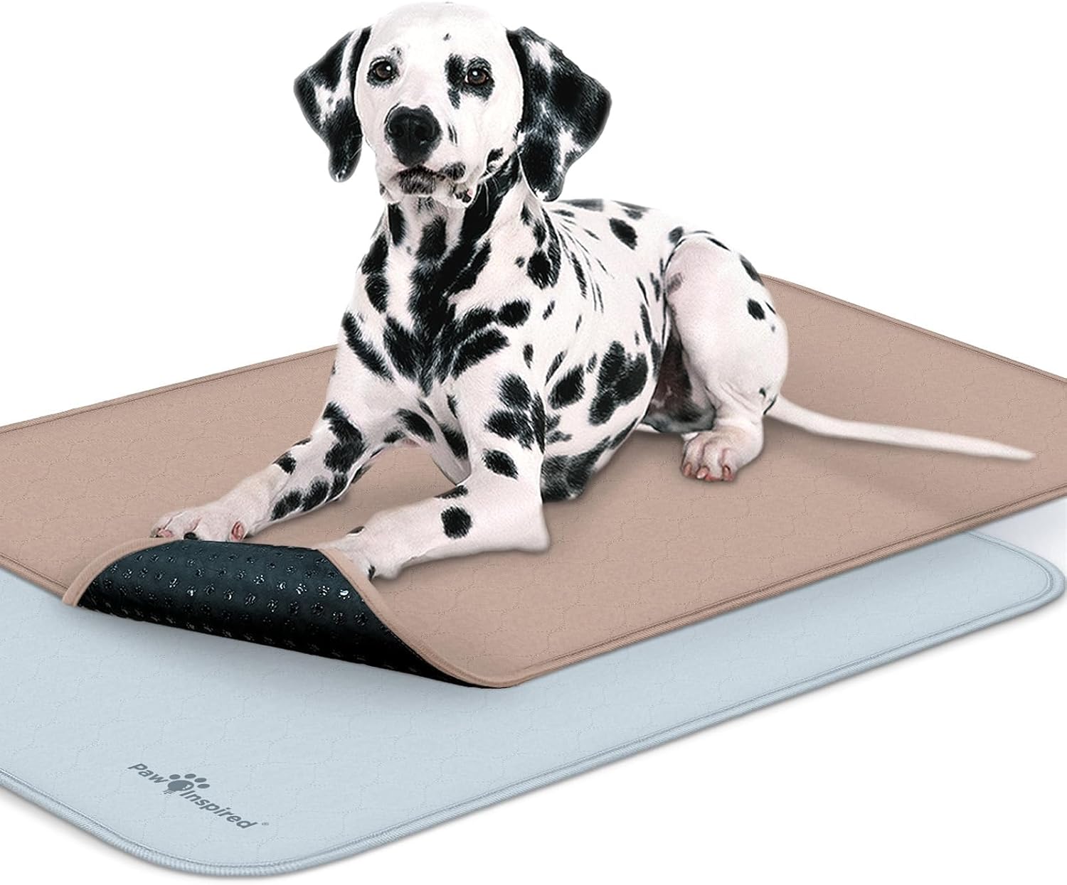 Paw Inspired Washable Crate Liners for Dogs (2 Pack) | Leakproof, Non-Slip Pee Pads for 42-Inch Kennels | Reusable Puppy Pads for Potty Training, Whelping, Waterproof Mat (41″x28″ Size, Pack of 2)