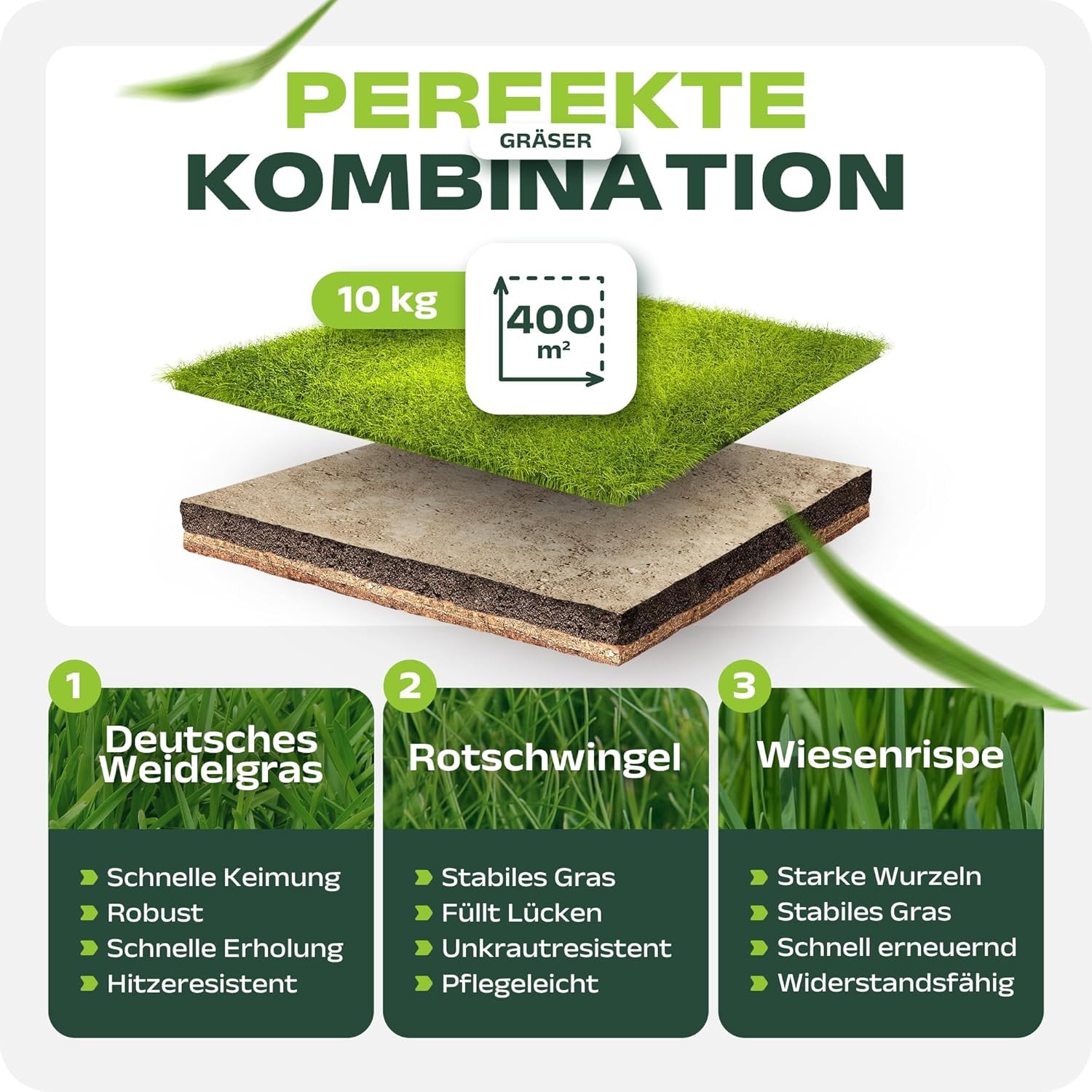 SEHR GUT getestet | Rasensamen schnellkeimend 20kg für 800m² | Sommer Sport und Spiel Rasen | Grassamen trockenresistent für Rasensaat und Nachsaat