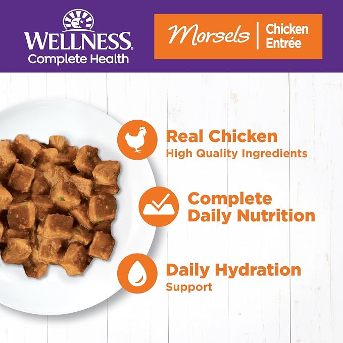 Alimento Húmedo Wellness para Gato Adulto Pollo 72 oz Pack 24 miniatura 2