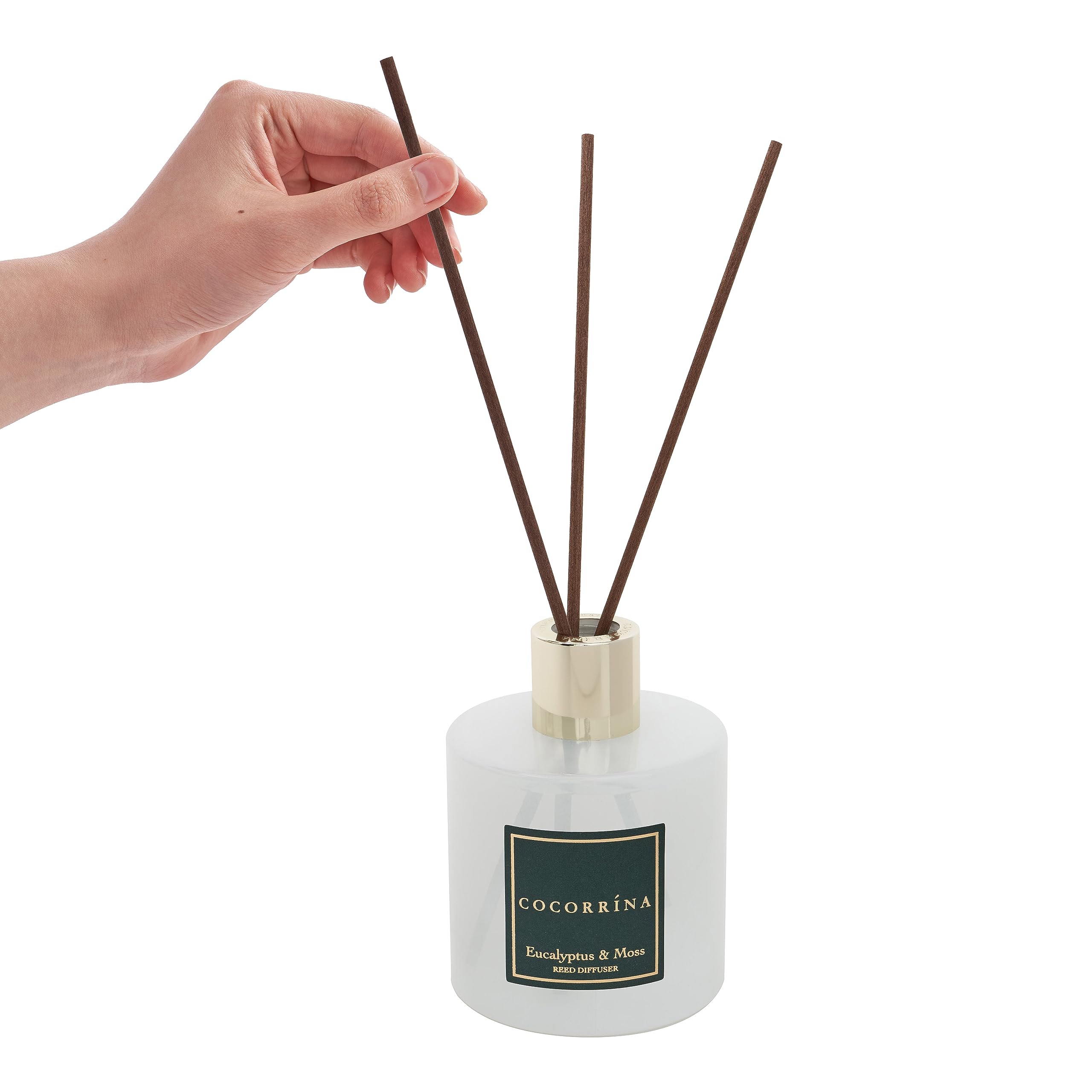 Cocorrína Diffuseur Parfum Maison, Eucalyptus et Mousse 200ml avec Diffuseur Bâtonnets diffuseur de Parfum, Batonnets Diffuseur Parfum, Reed Diffuseur pour Salle de Bain étagère décoration