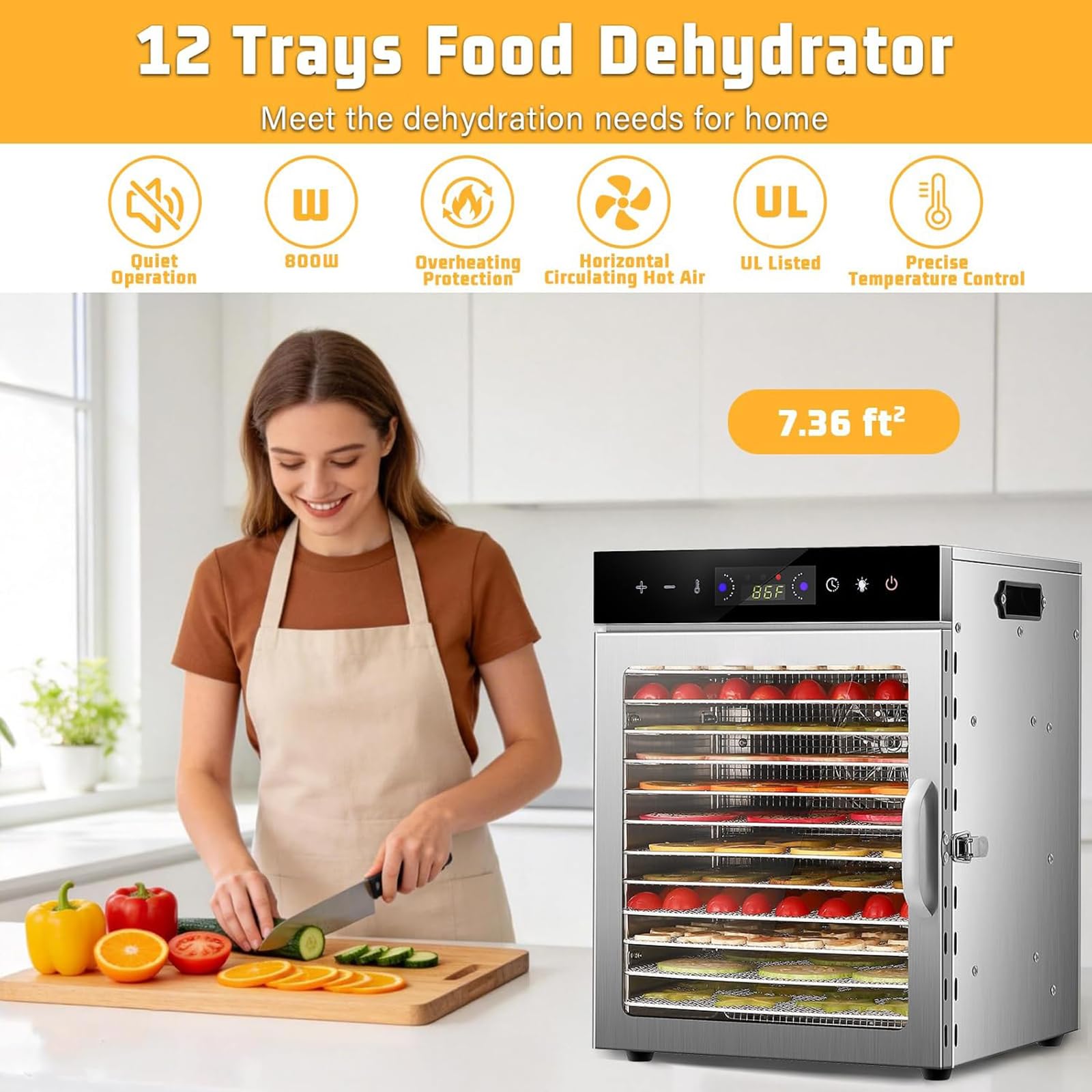 Essiccatore per Alimenti, Liofilizzatore, 800 W, Timer 24 Ore