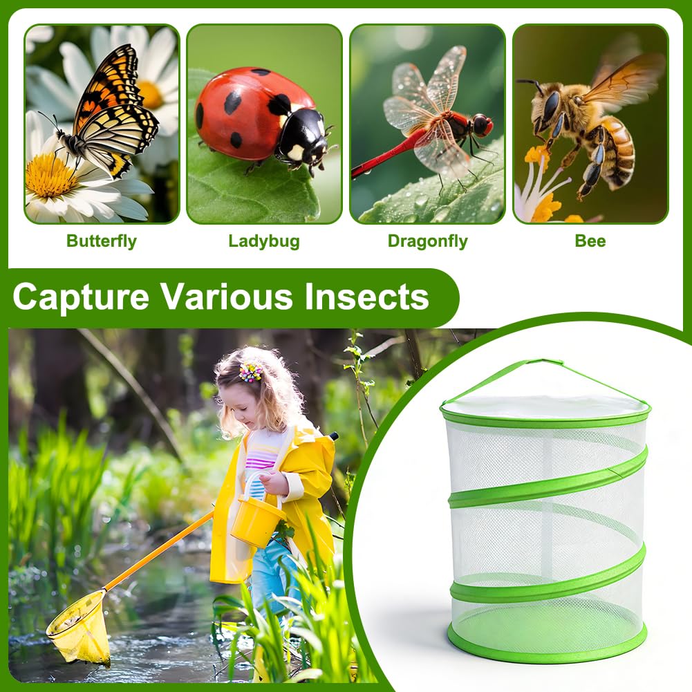 RANJIMA Cage pour insectes et papillons - Design pop-up Pliable En filet - Plein air
