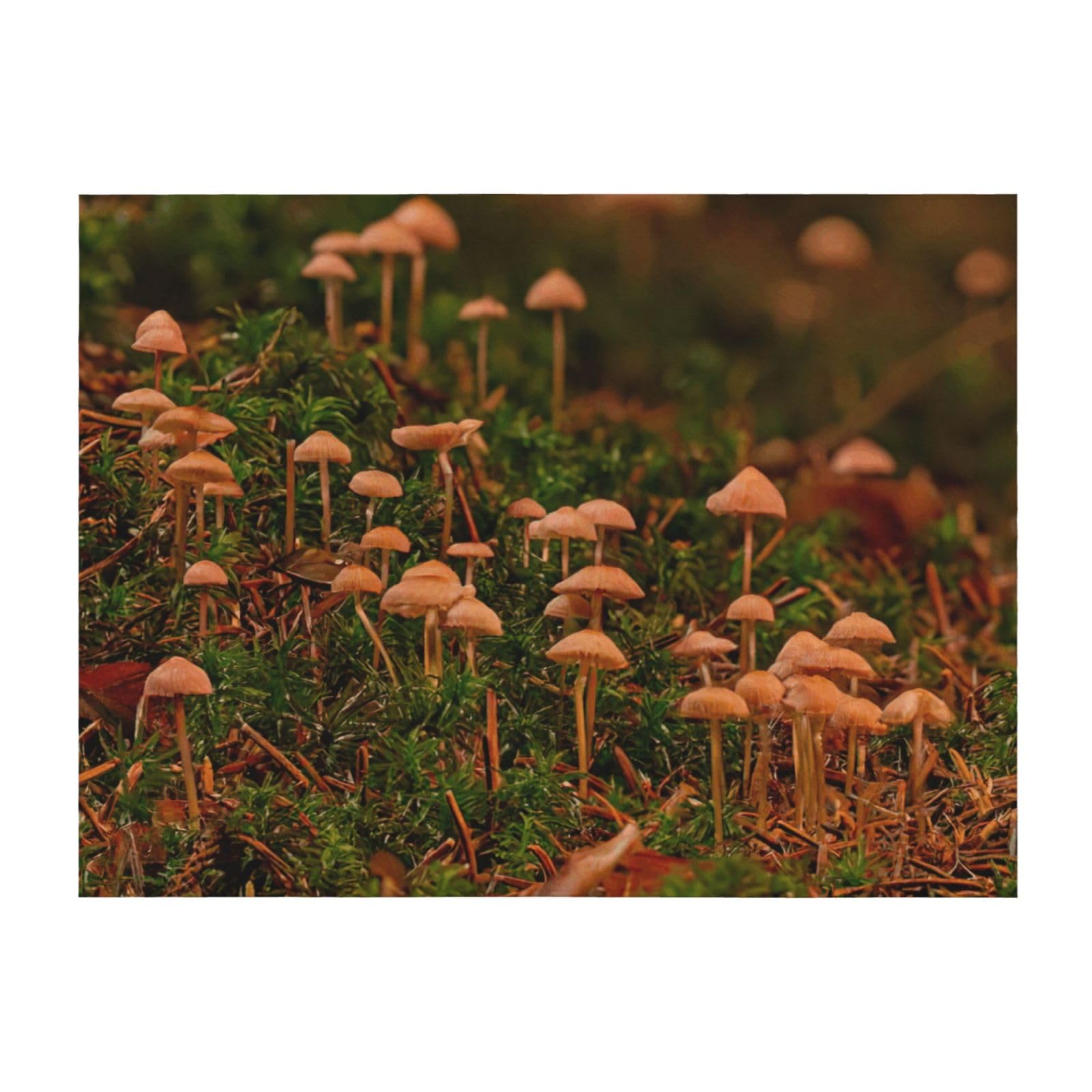 Couverture légère champignons sauvages contre le froid sur votre canapé
