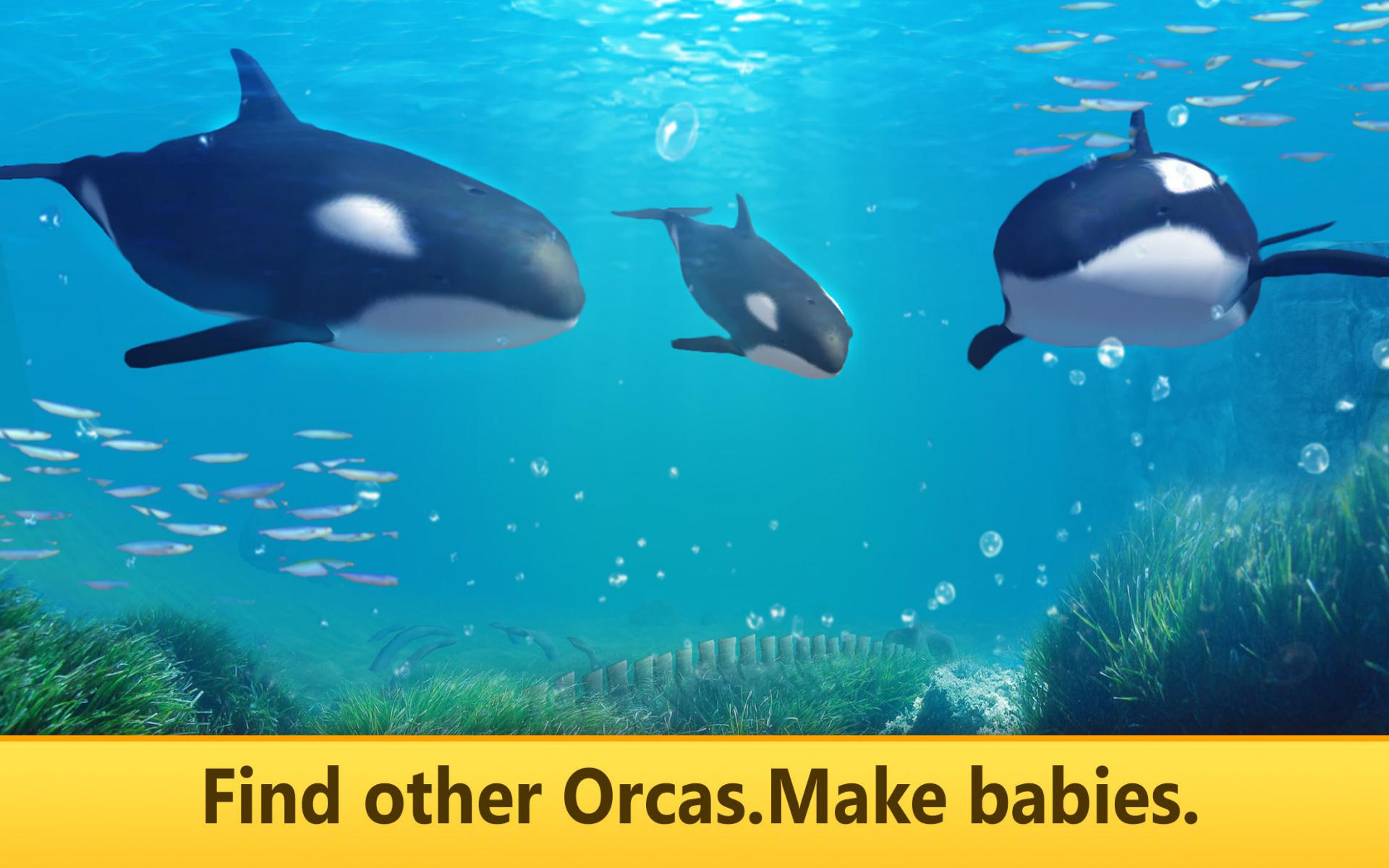 新品、未開封！ORCA Minute Stream2000 4D Fame Master Sea Animal Orca Killer Whale Puzzle