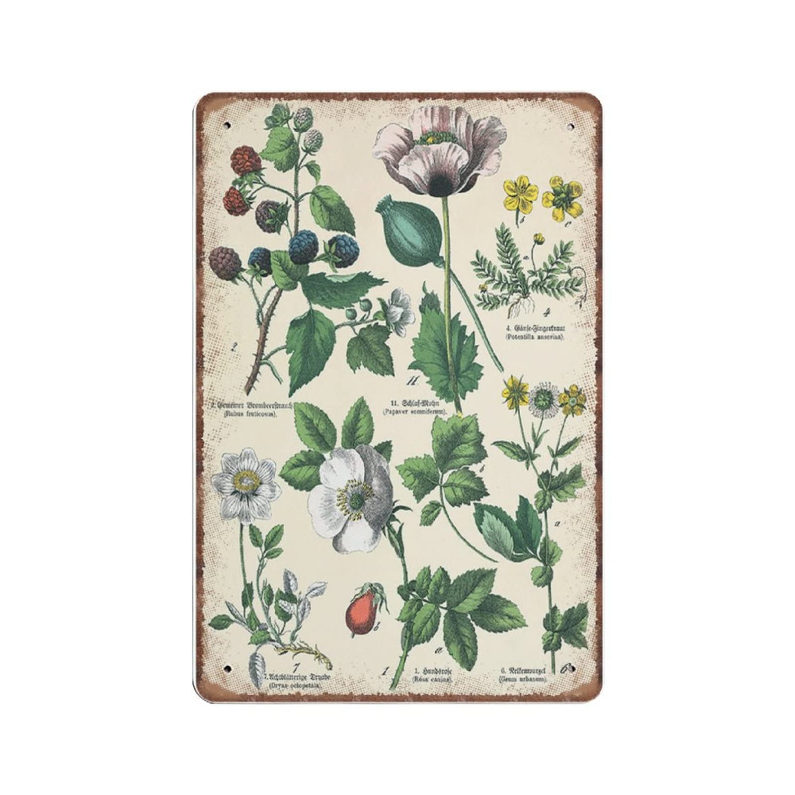 rayprint Funny Vintage Sign Red Poppy Flower Botanical Wall Art Plant Metal Tin Signs for Kitchen Garden Garage Bathroom Wall Decor 8 X 12 INCH