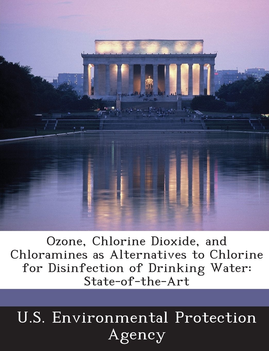 Buy Ozone, Chlorine Dioxide, and Chloramines as Alternatives to