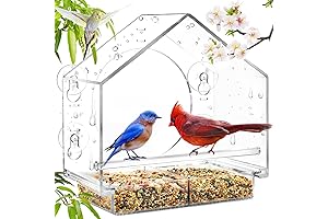 Pour Joy Window Bird Feeder with 4 Strong Suction Cups