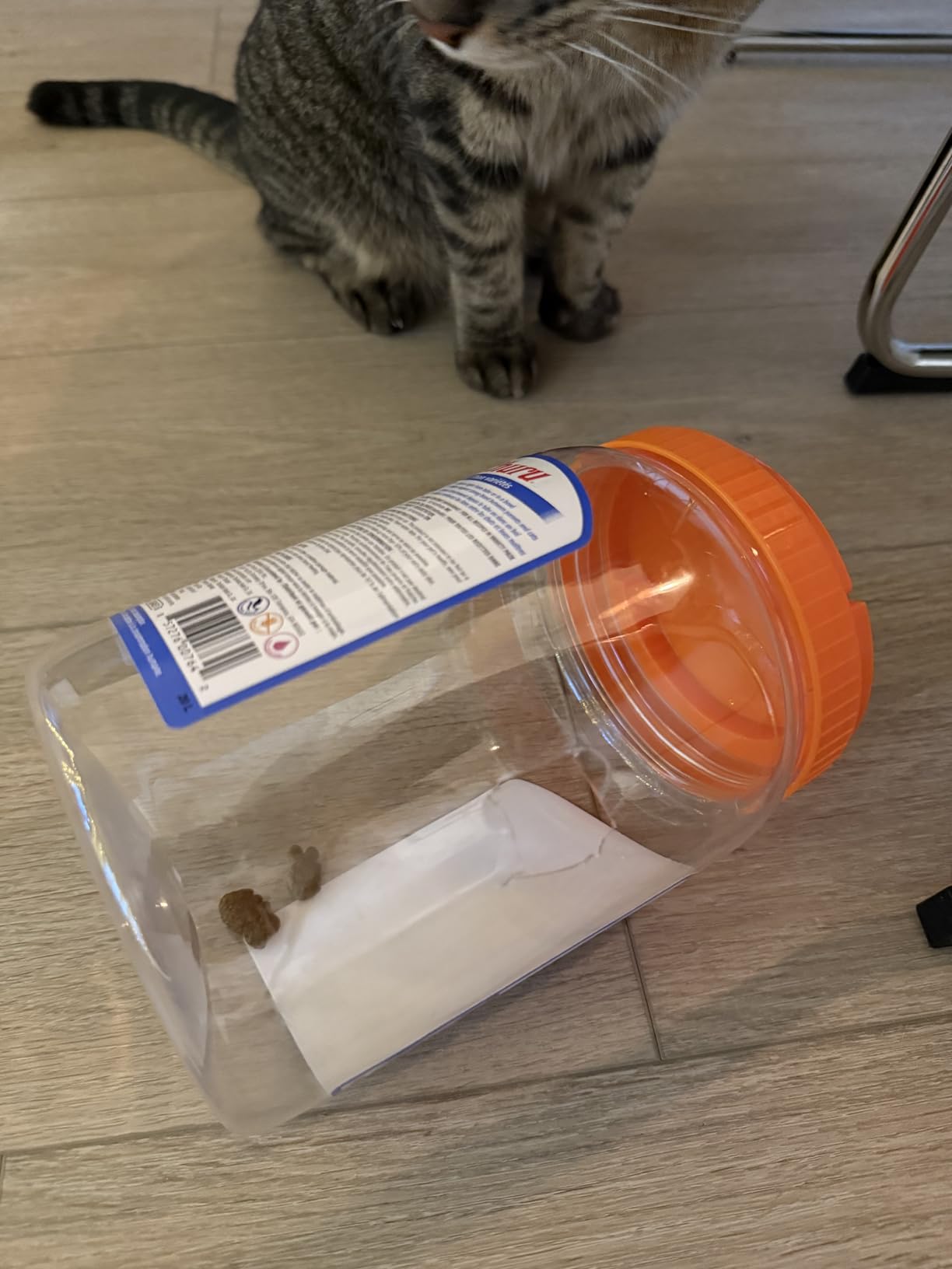 INABA Churu Cat Treats, Grain-Free, Lickable, Squeezable Creamy Purée Cat Treat/Topper with Vitamin E & Taurine, 0.5 Ounces Each Tube, 50 Tubes, Tuna & Chicken Variety photo review