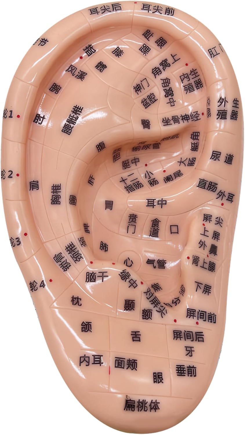 Ear Seeds Acupuncture Kit, Ear Seeds Acupuncture Kit, Soft