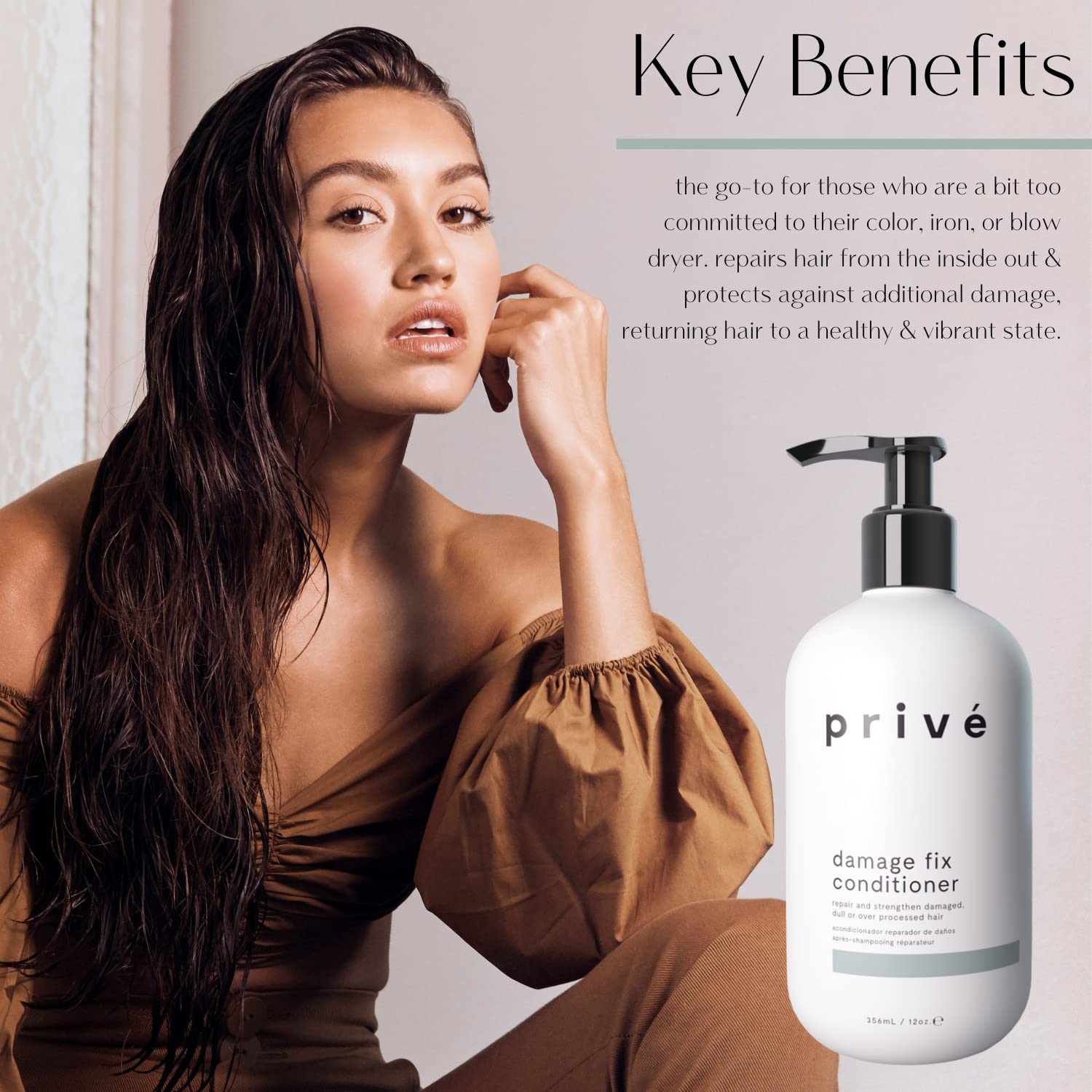 Prive Damage Fix Conditioner - Repairs Dry and Over-Processed Hair from Within Protects Future Additional - Smooths Frizz, Restores Shine, Strengthens Weak, Brittle Strands (12 Oz)