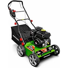 GreenSweep Pro Series - Gas Powered Artificial Grass Electric Sweeper Rake 45L Collection Bag,5 Adjustable Heights, Foldable Handle