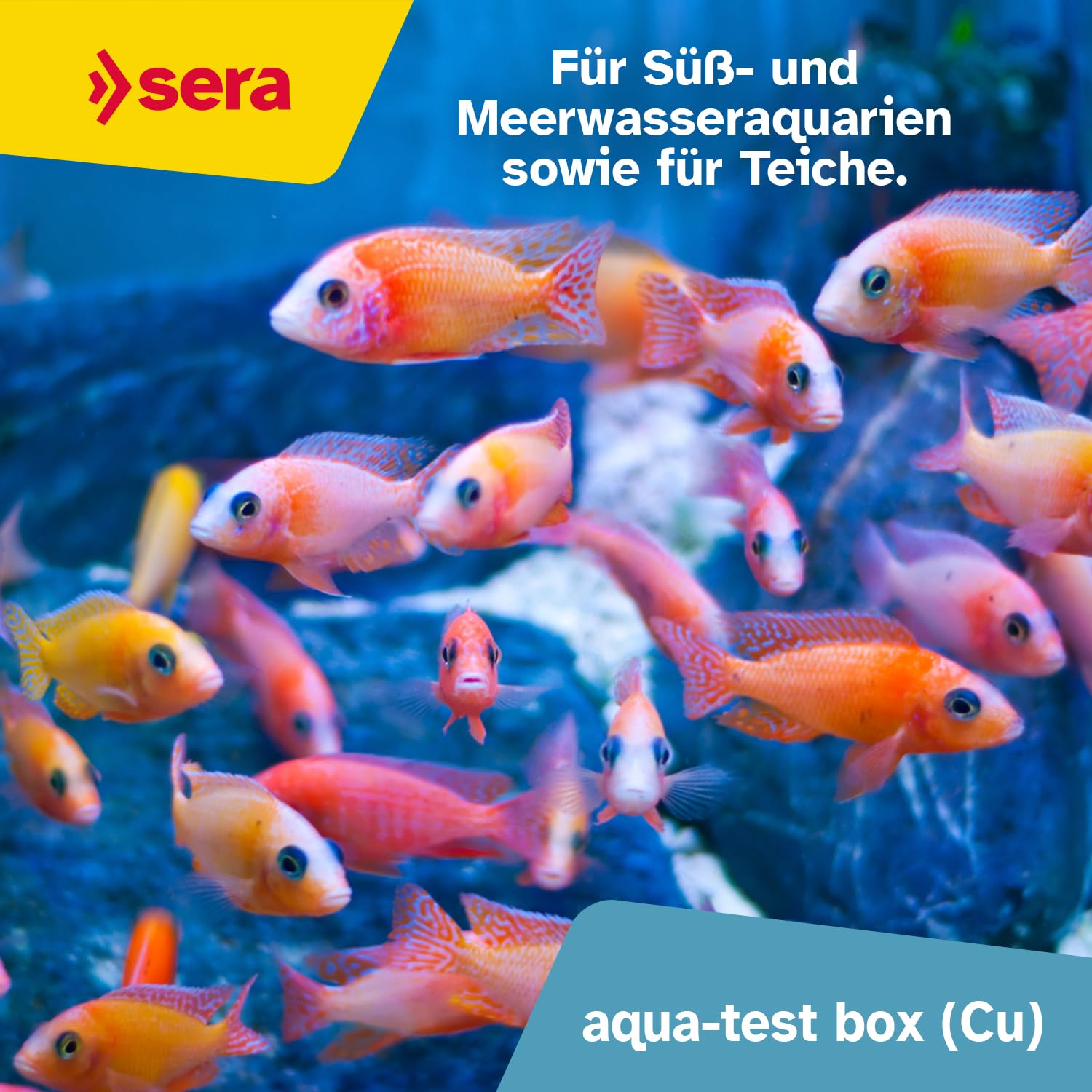 sera Aquarium Wassertest Box | Wasser-Testkoffer für Fortgeschrittene | pH, GH, KH, NH3/NH4, NO2, NO3, PO4, Fe und Cu | schnell, genau, professionell