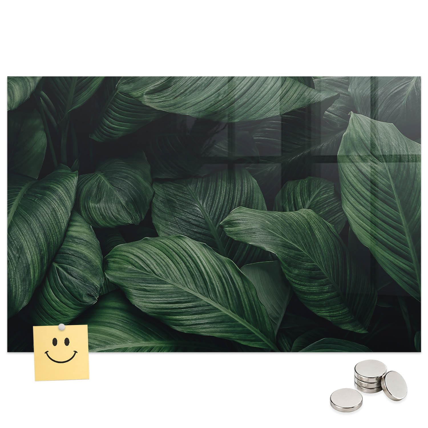 Tablero imantado de vidrio 60x40 para decorar la oficina y organizar tareas con diseño tropical 8