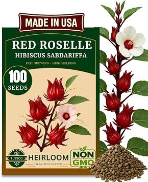 100+ Red Roselle NON-GMO USA PREMIUM Seeds for Planting Hibiscus Sabdariffa Fast Growing Hibiscus Flowers
