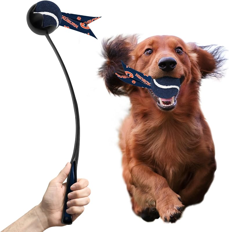 Lançador de Bolas para Cães Littlearth NCAA em Plástico Reciclado, 1 Unidade