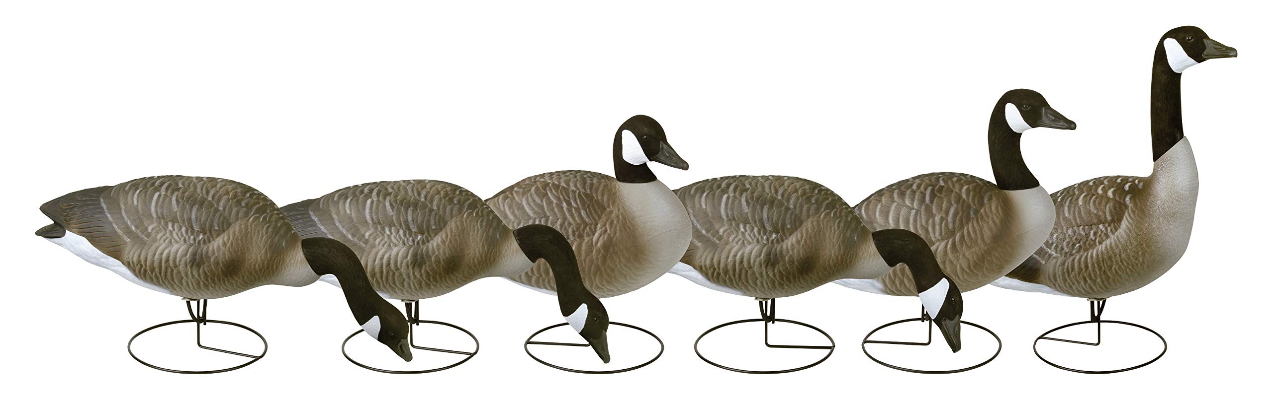 Flambeau Outdoors Hunting-decoys