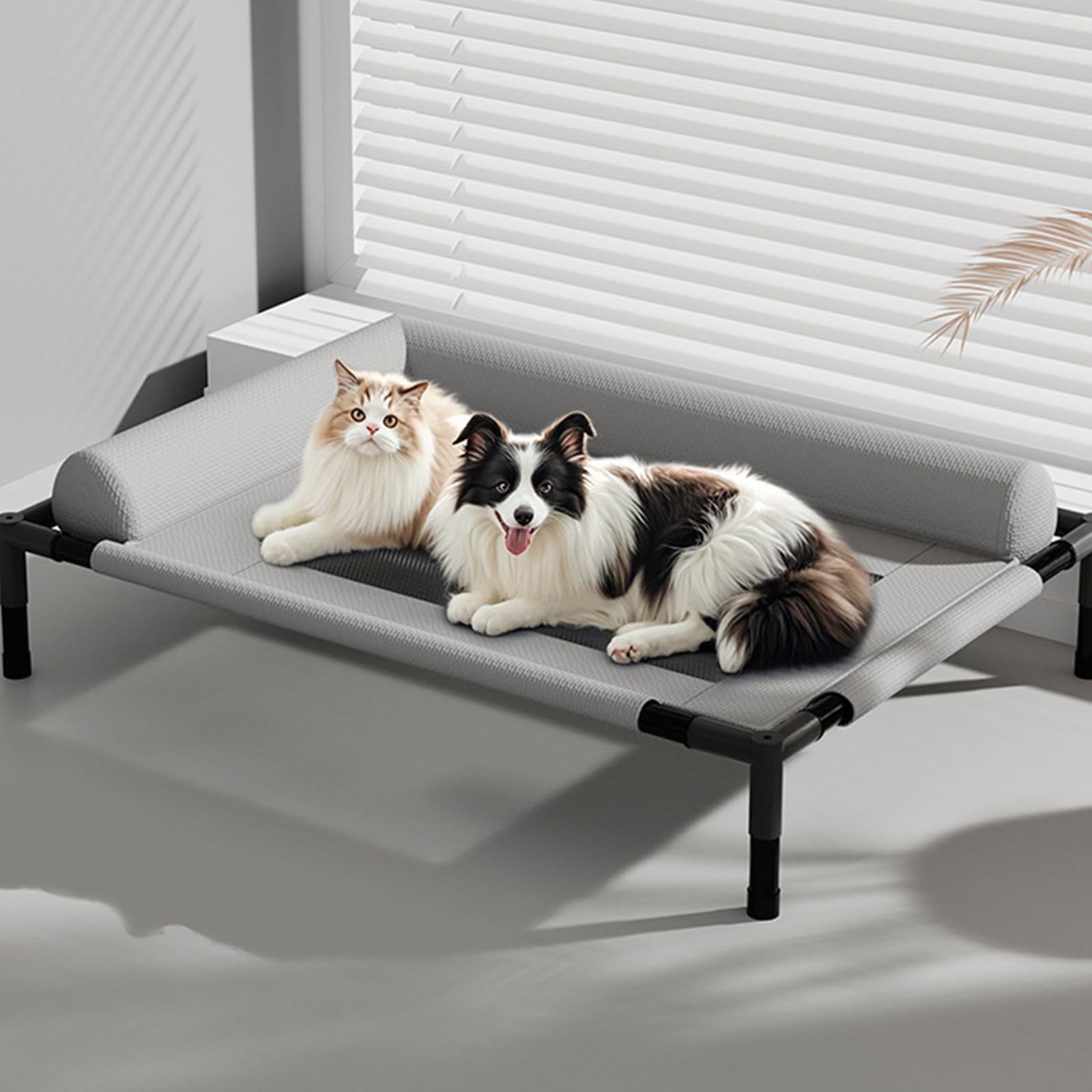 Cuccia per animali domestici, rialzata con rete traspirante e cuscino, design resistente alla masticazione, lavabile, per cani di piccola e media taglia