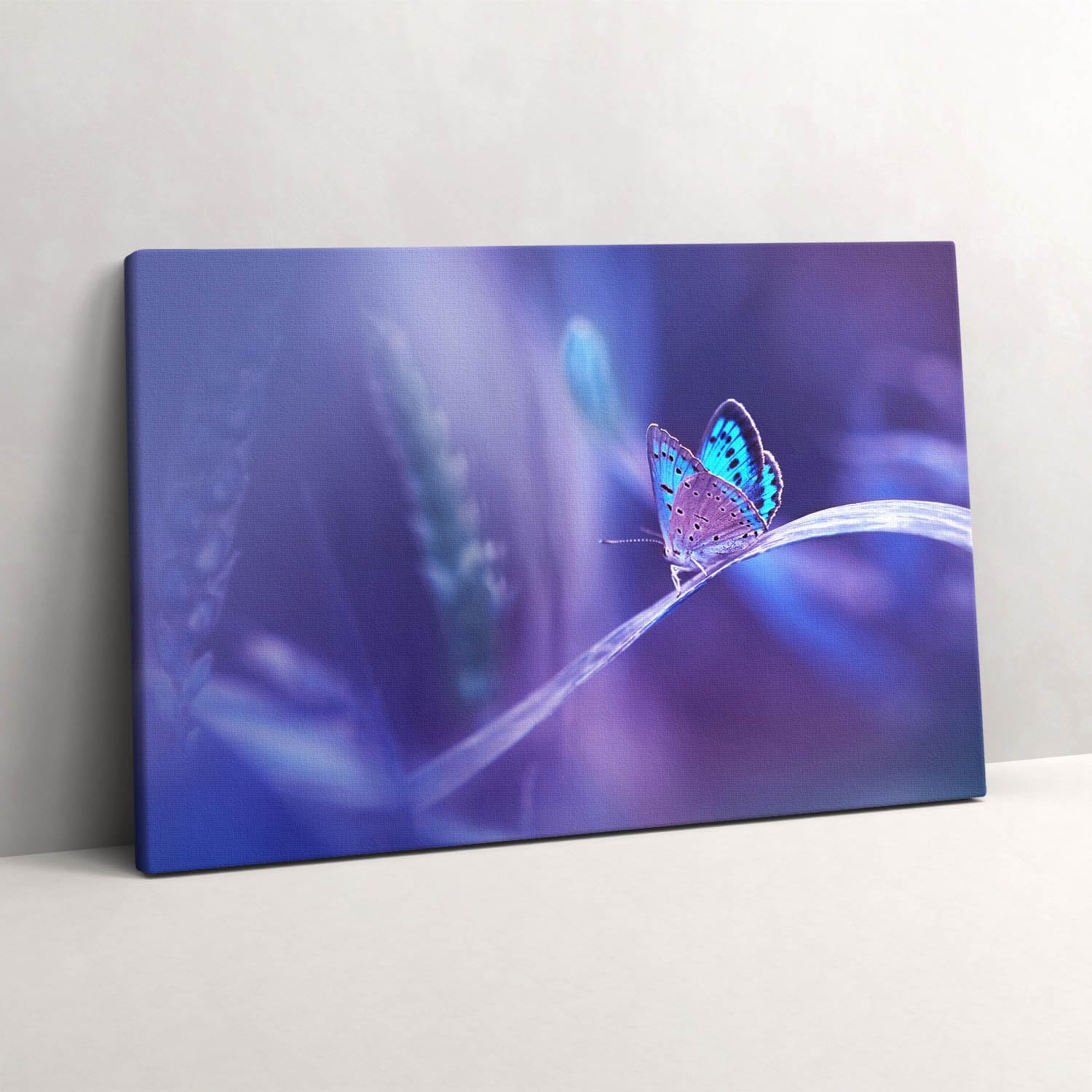 Tableau photo sur toile papillon decoration murale haute definition - 6