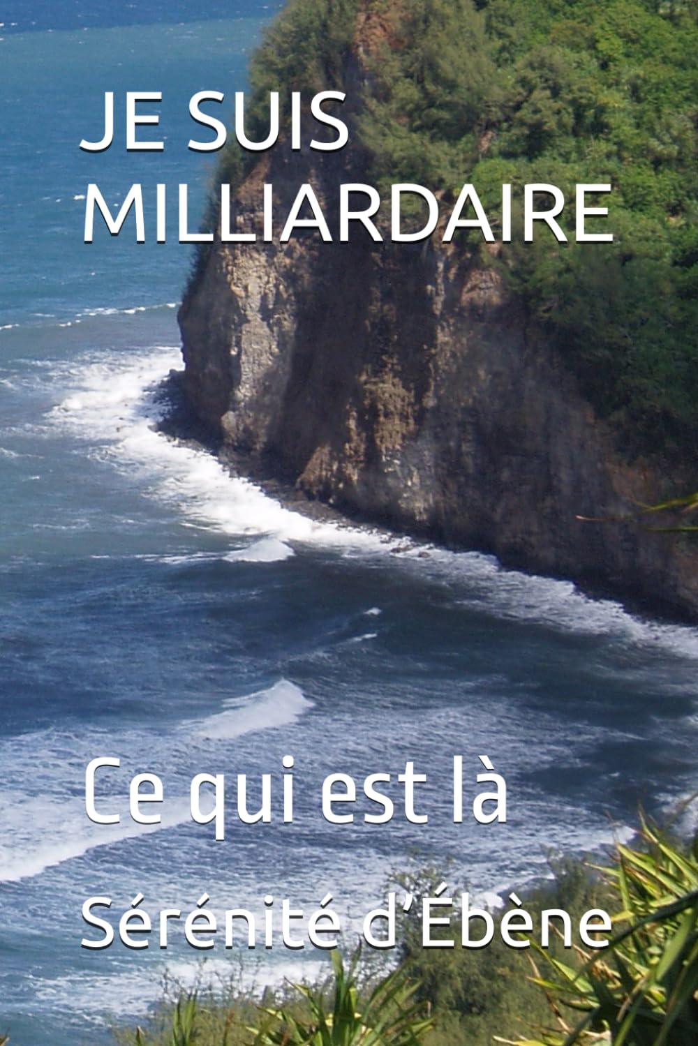 JE SUIS MILLIARDAIRE: Ce qui est là
