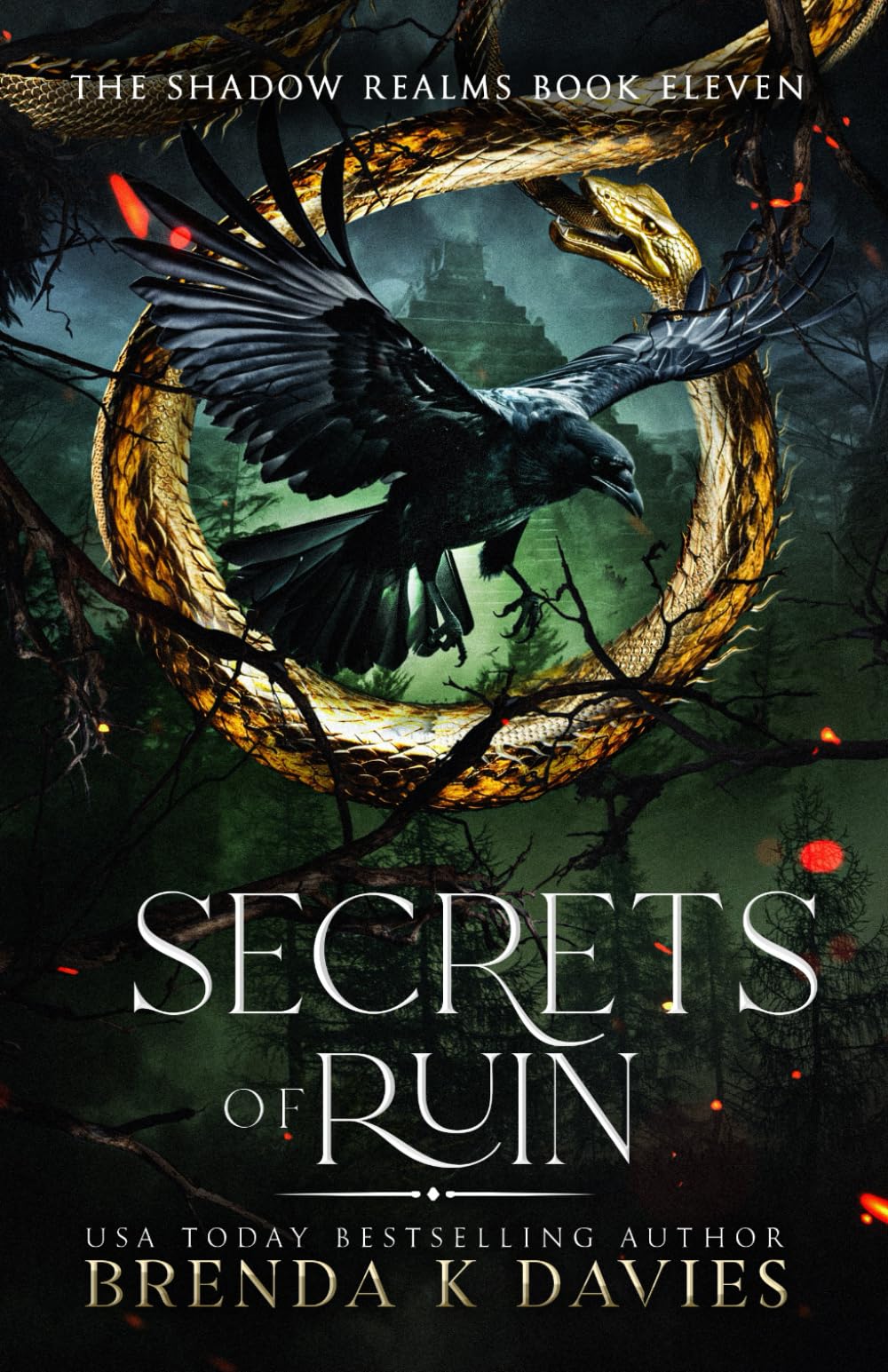 Secrets of Ruin: 11 (The Shadow Realms)