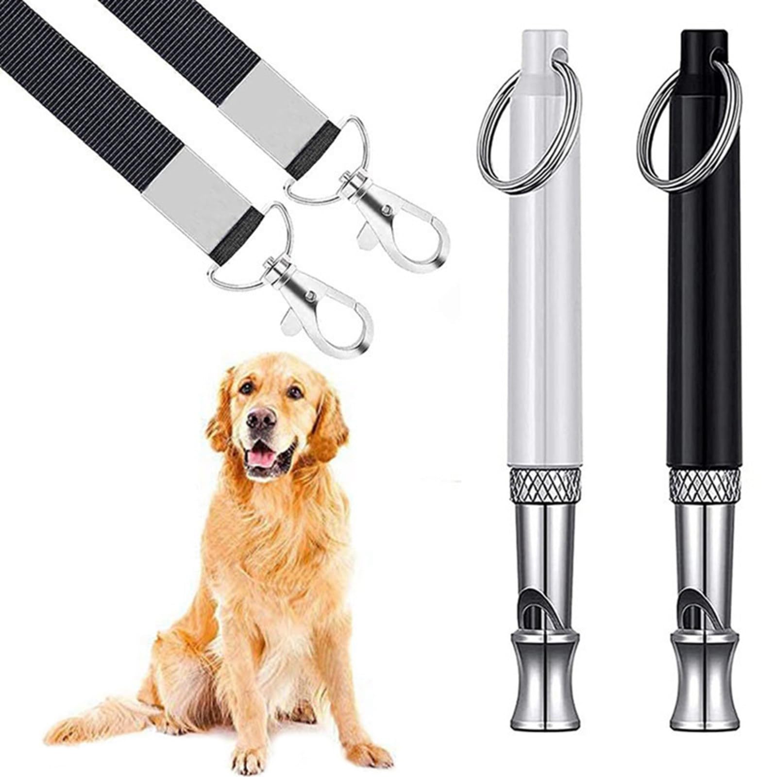 Leash How To Get Your Dog To Stop Barking At Other Dogs To Make