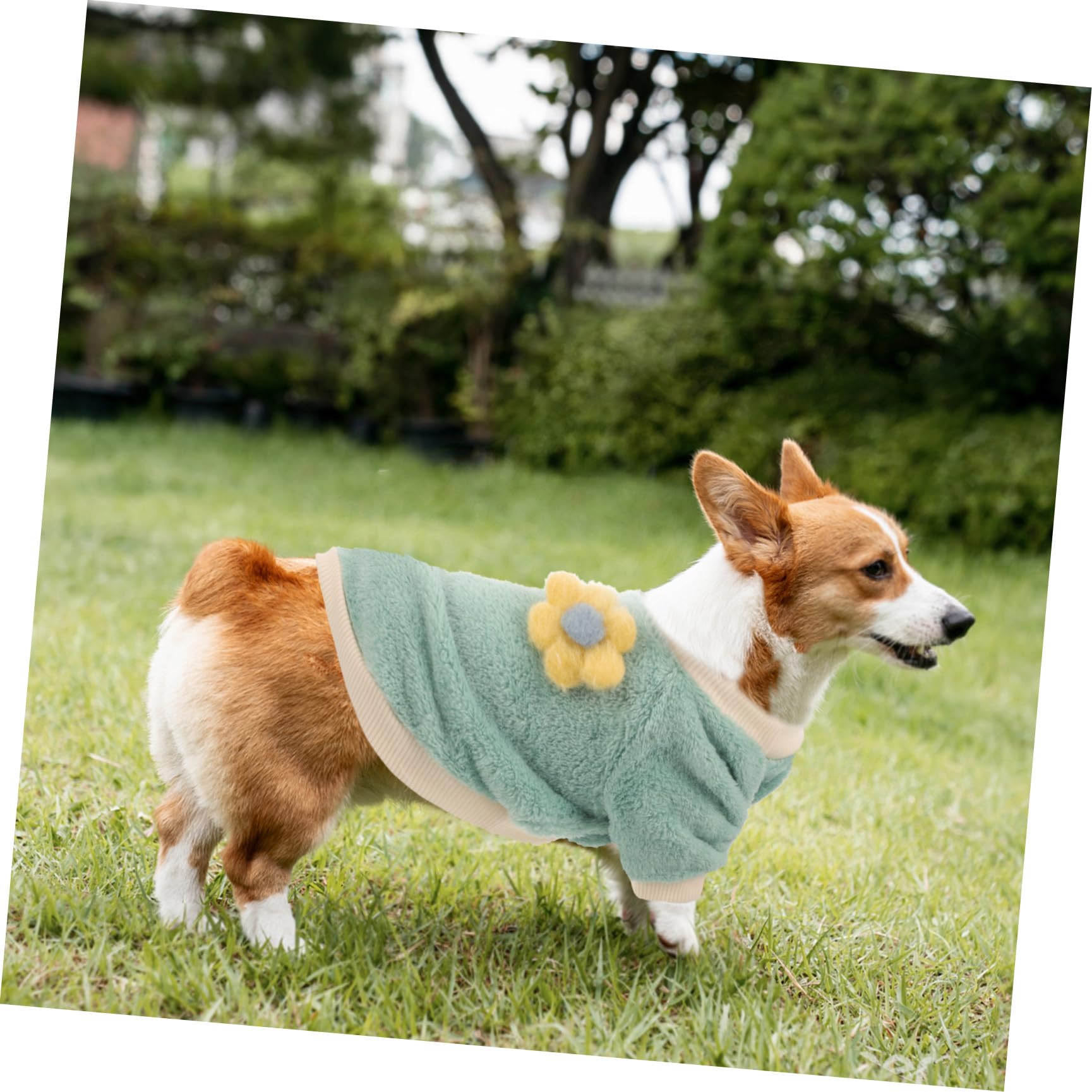 Manteau Chaud pour Chien Vêtement Hiver pour Chien Résistant Froid pour Animaux de Compagnie