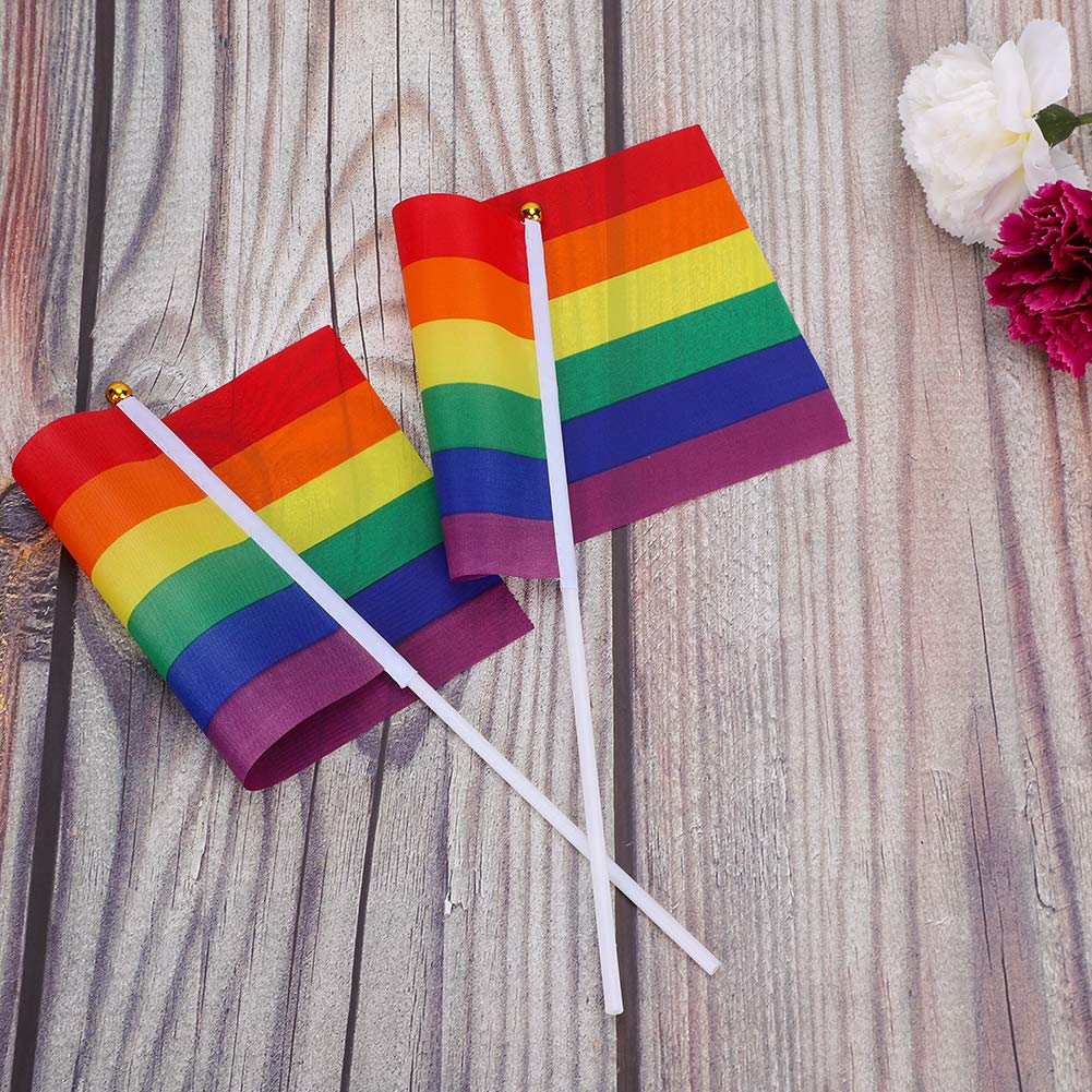 12 bandierine piccole per orgoglio 21 x 14 cm, bandiere arcobaleno che sventolano a mano per LGBTQ, bandiere gay pride, bandiere asessuali bisessuali per feste, carnevale, decorazioni per festival
