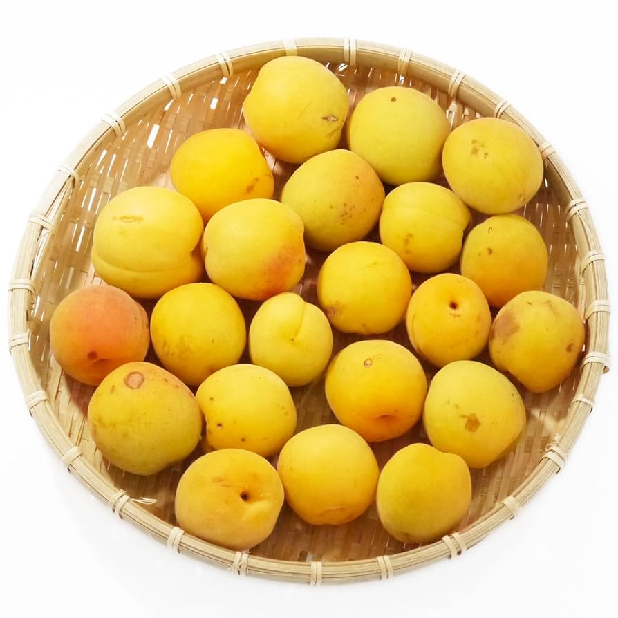 Amazon | 青森の色梅（完熟梅）[豊後梅] 「訳あり」（キズ