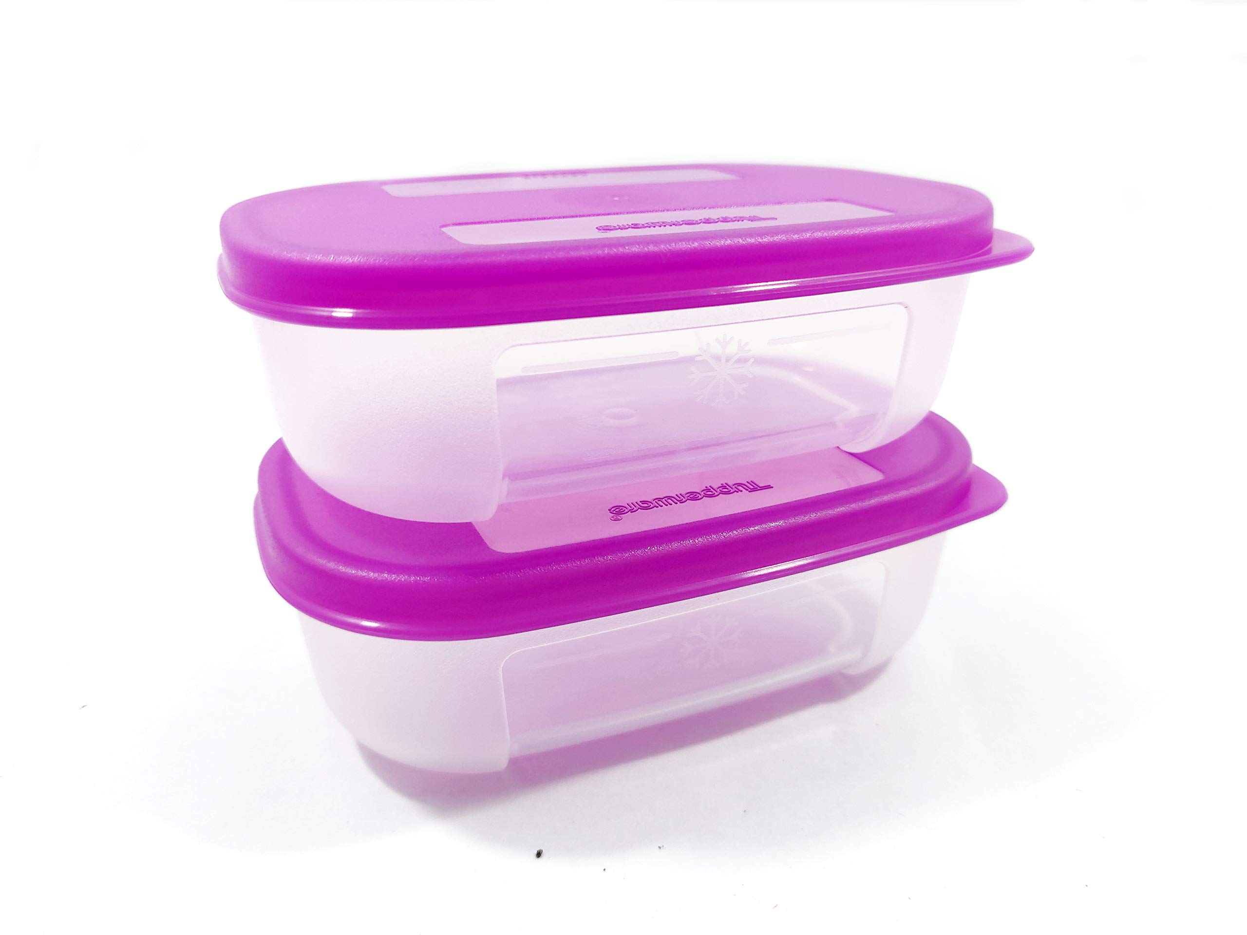 Tupperware Freezer Mini Mate Plastic Container , 110 ml (Set of 2) with Free Handkerchief (B07TZBN5QV) Amazon Price History, Amazon Price Tracker