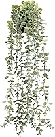 DerRose Artificial Hanging Eucalyptus Plant in Black Pot - Faux Greenery for Boho Farmhouse Bathroom Office Living Room Decor 24"