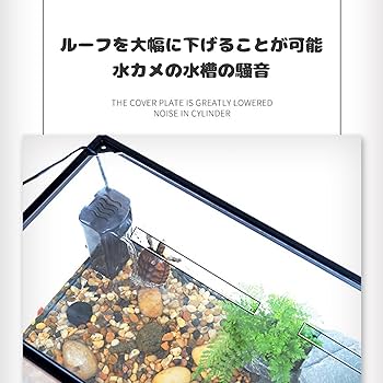 Amazon | カバー付き水亀水槽 防水カメの脱出 底部排水付き