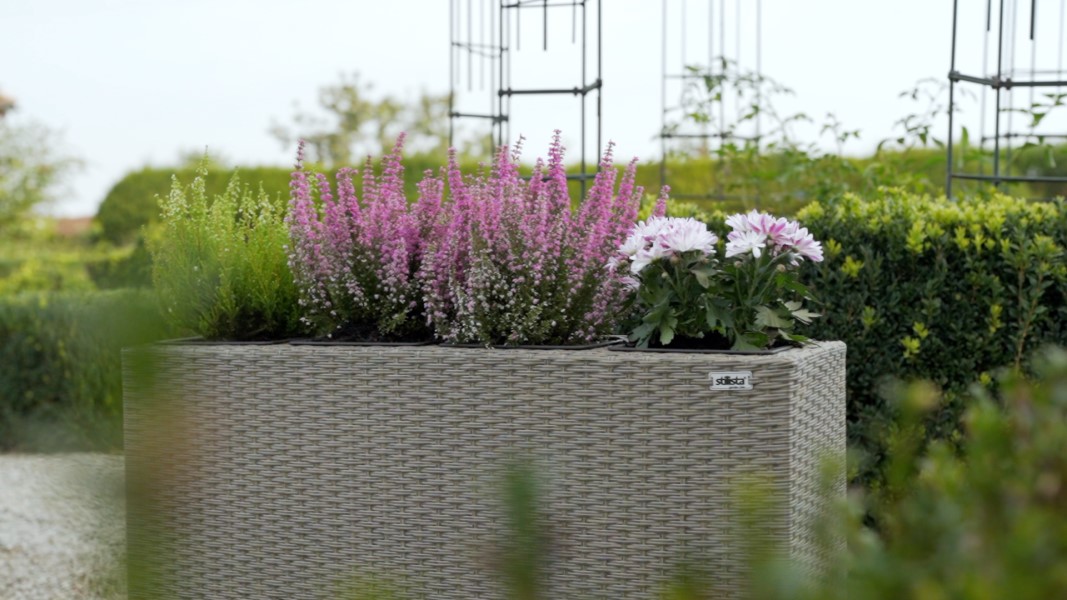 STILISTA Blumentopf aus Polyrattan-geflecht 95 x 60 x 26 cm mit 4  herausnehmbaren Innentpfen, 4 Farben, Farbauswahl: Schwarz: Amazon.de:  Garten