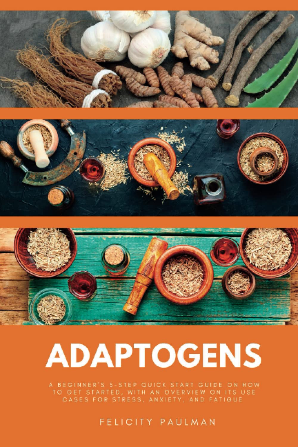 Adaptogens: A Beginner's 5-Step Quick Start Guide on How to Get Started, With an Overview on its Use Cases for Stress, Anxiety, and Fatigue