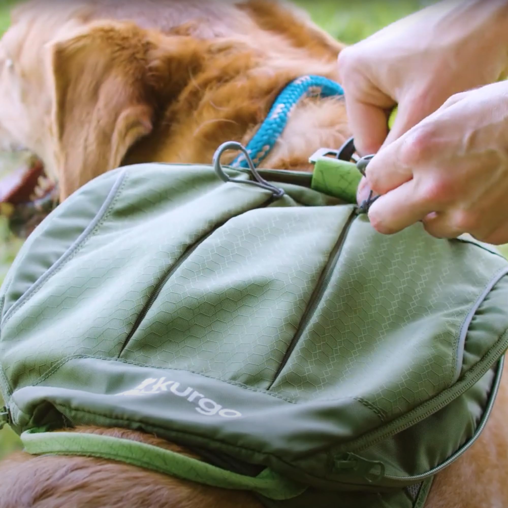 Kurgo Cascade Pettorina con Zaino, M, Verde | Spallacci Regolabili, Tessuto Ripstop, Schienale Imbottito, Sacchetti Igienici