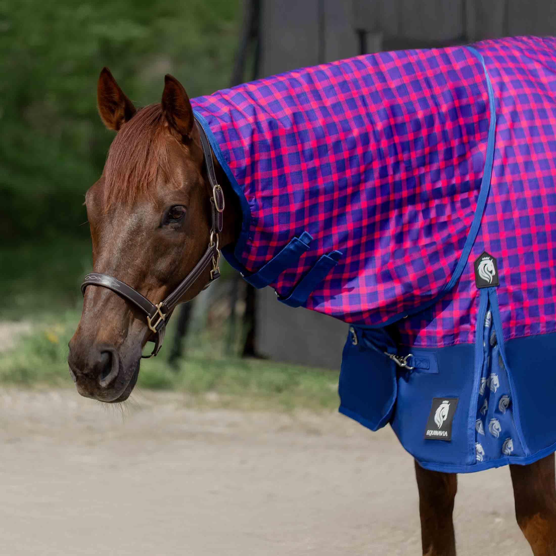 Equinavia Norse Turnout Neck Cover No Fill | 600 Denier - Galaxy Blue/Pink Flambee - S