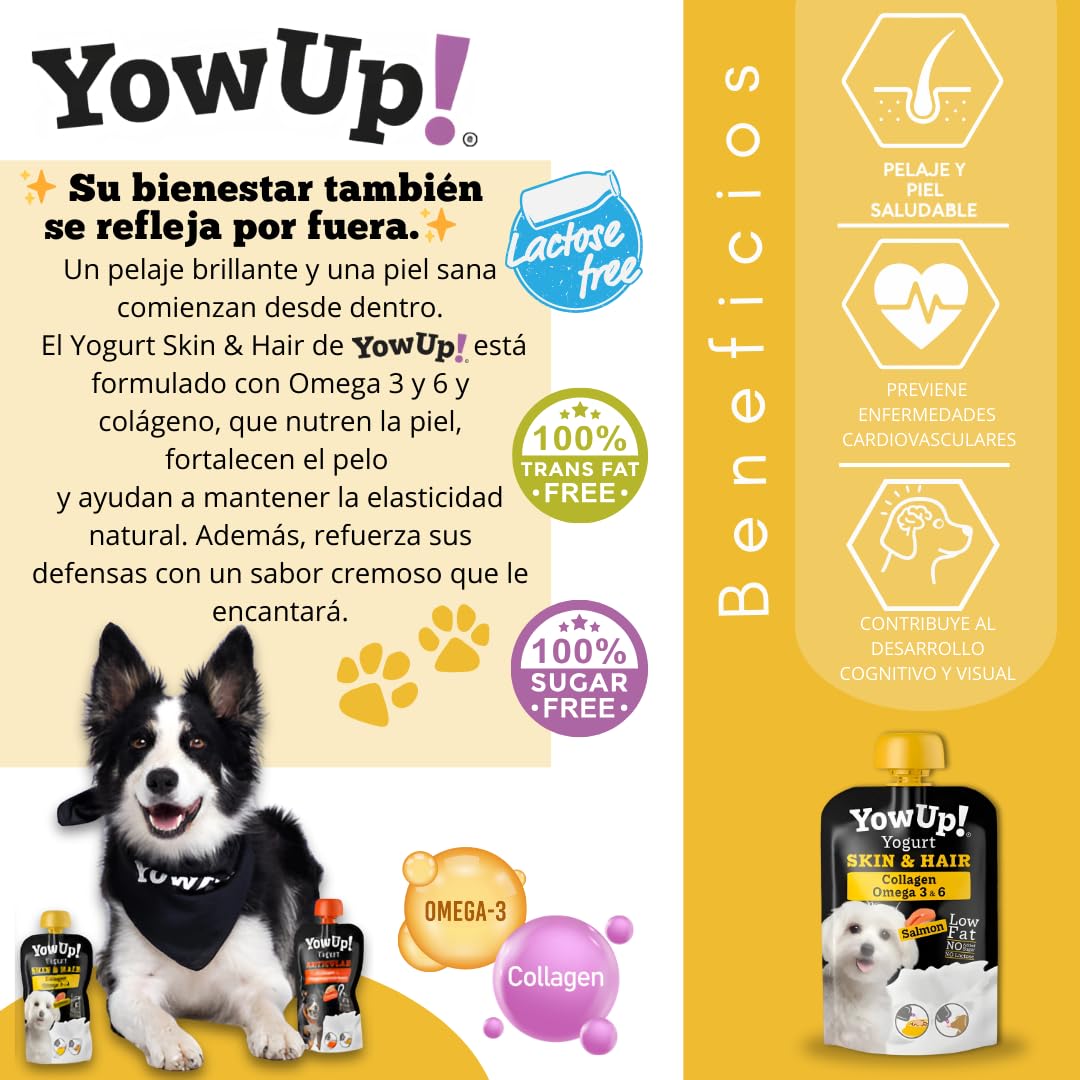 YowUp! Yogur para Perros Piel y Pelo | con Omega 3, 6 y Biotina | Pack Caja Display 10×115 g | Sin Lactosa, Sin Azúcares, Snack Funcional Saludable