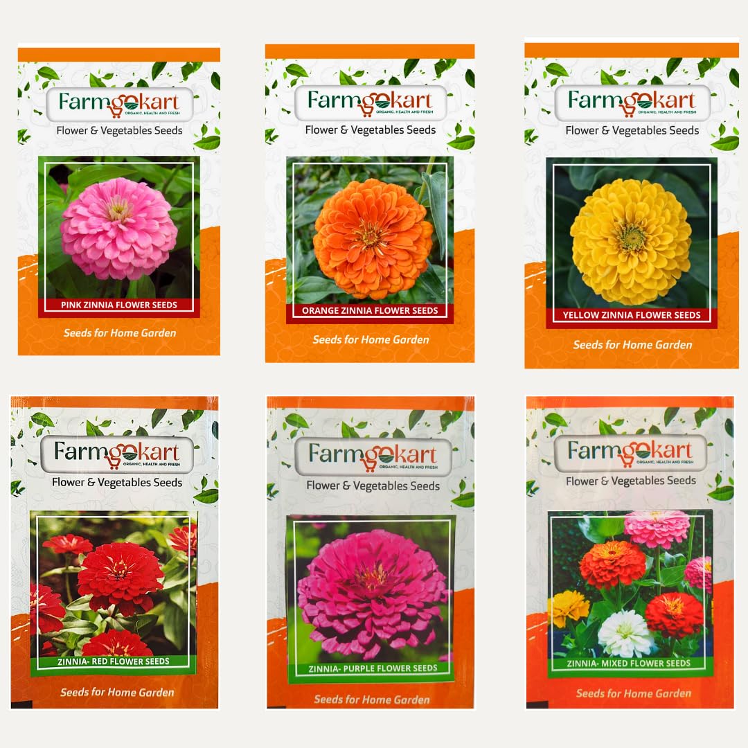 Farmgo ~ Zinnia Flower Seeds - (Combo Pack of 6 Colorful Seed Packets) A Vibrant Mix to Enhance Your Garden
