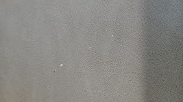 Review Image by LSU LSU