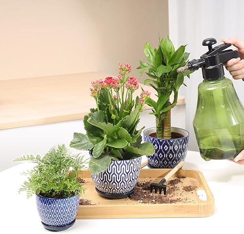 Miniatura 5 de Selamica Macetas de cerámica para suculentas con agujeros de drenaje, macetas pequeñas de 3.5 pulgadas para plantas de interior con platillos,