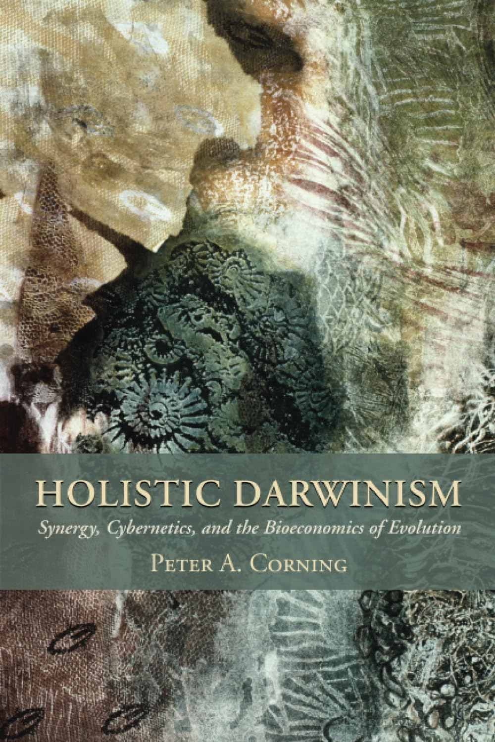 Holistic Darwinism: Synergy, Cybernetics, and the Bioeconomics of Evolution (Emersion: Emergent Village resources for communities of faith)