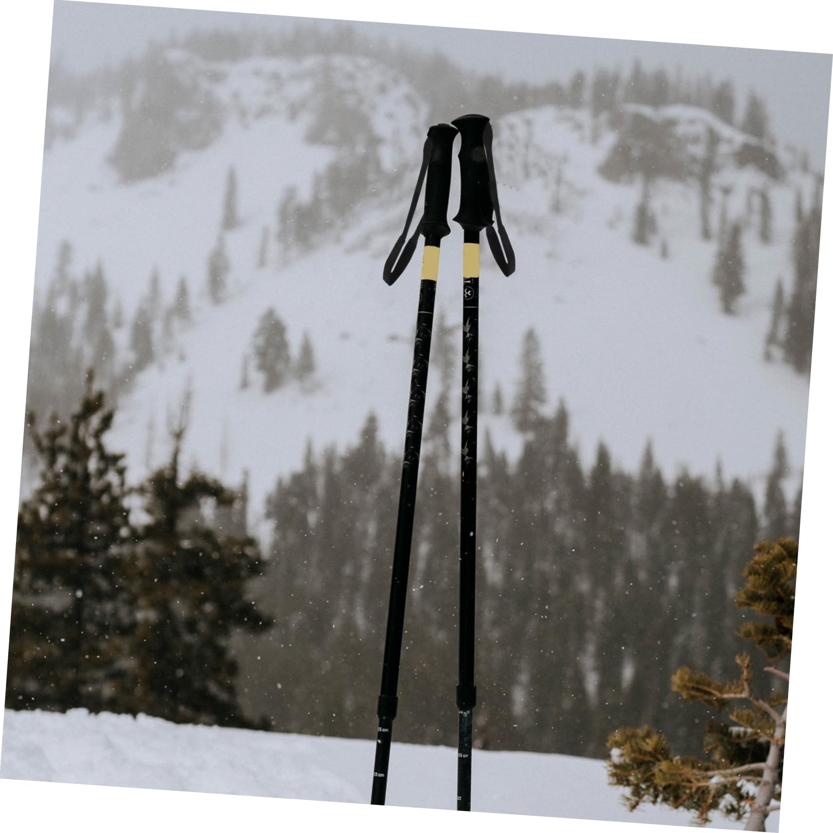 Ski Pole Wristband Cane Wrist Strap s Walking Stick Strap Trekking Stick Strap Walking Stick Wristband Ski Strap Protective Tie Ski Pole Leash Sticky Tape On Foot Travel Nylon