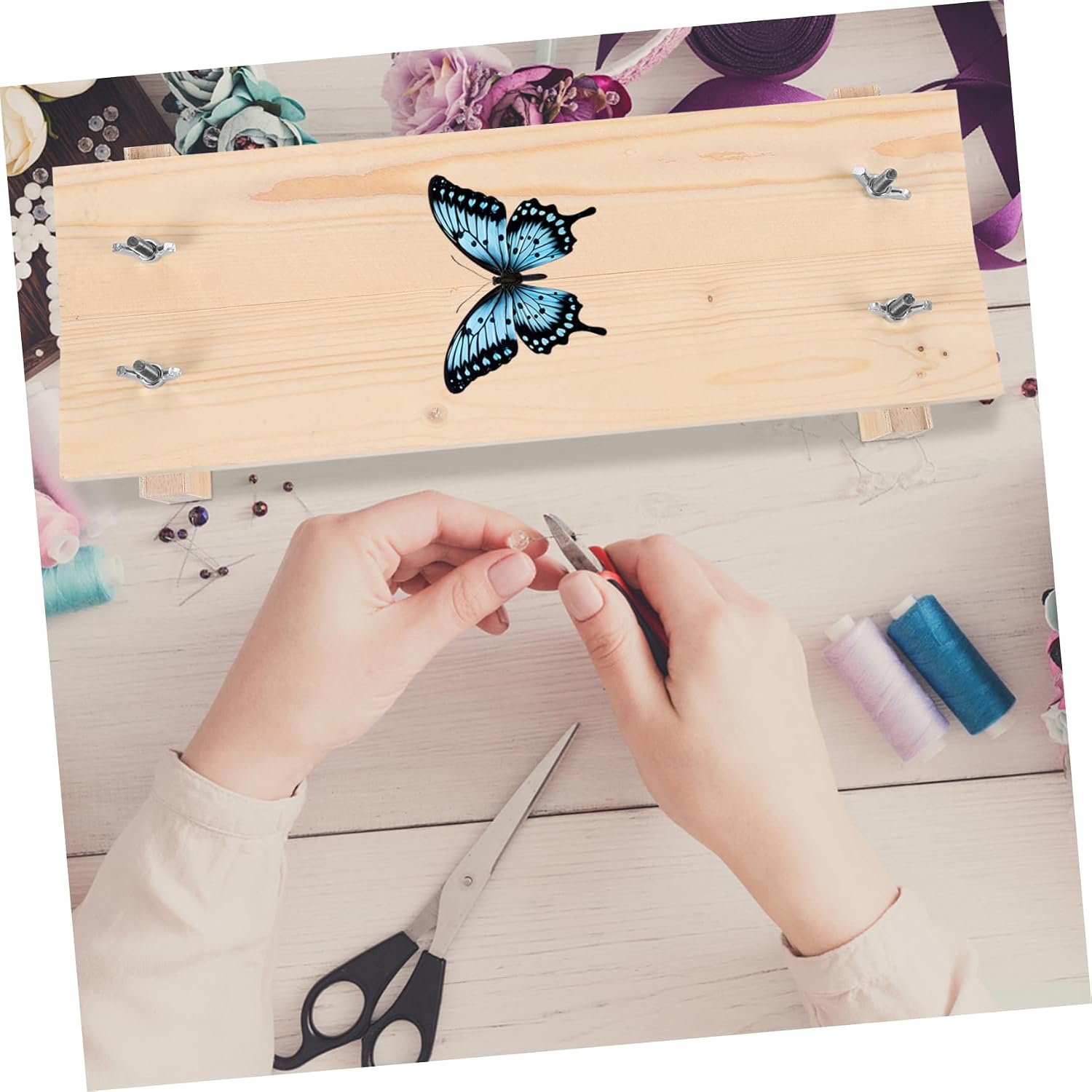 Butterfly Specimen Pinning Plate Insect Wings Display Board Butterfly Wings Spreading Tool for