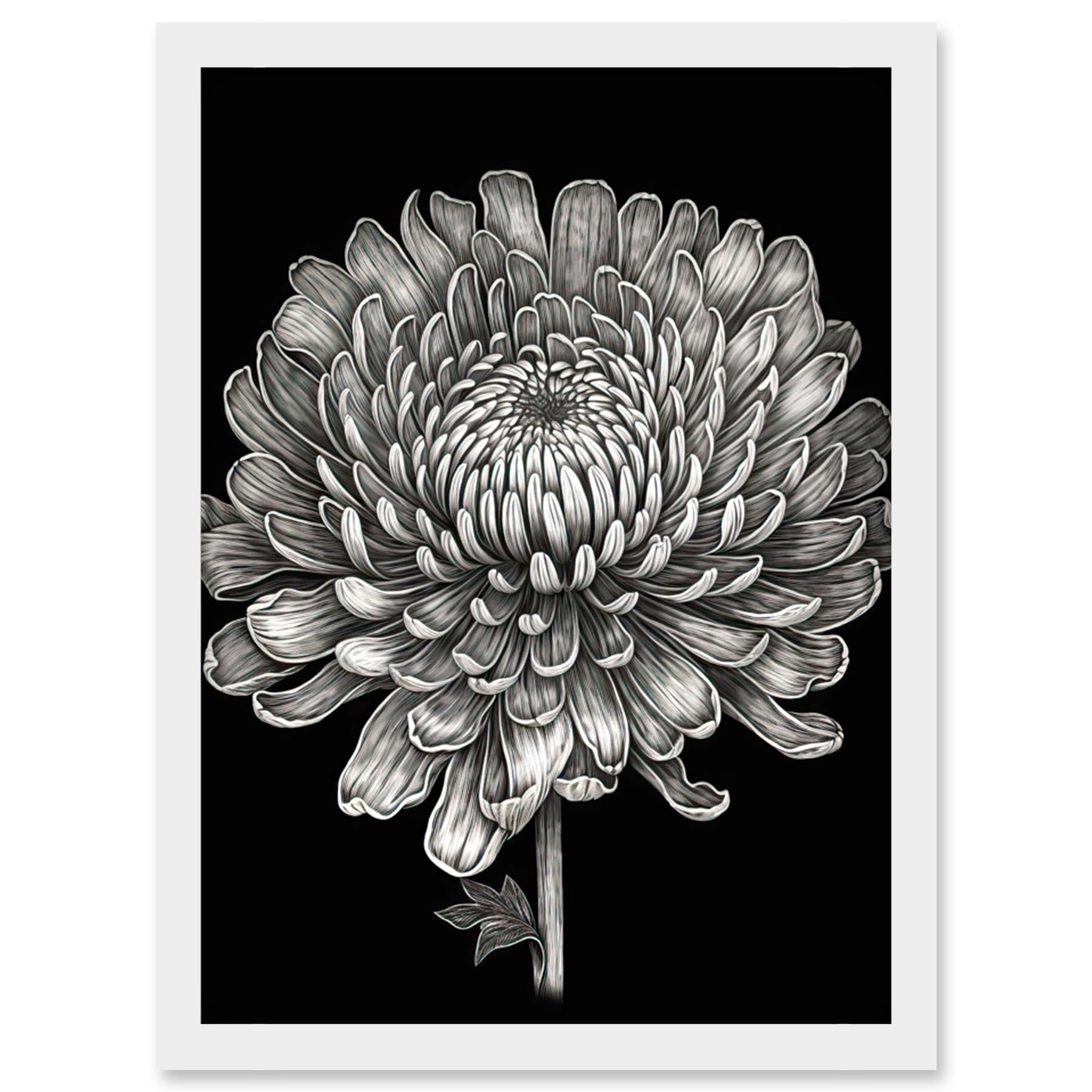 Artery8 Detailed Chrysanthemum Flower Bloom Illustration Artwork Framed Wall Art Print A4