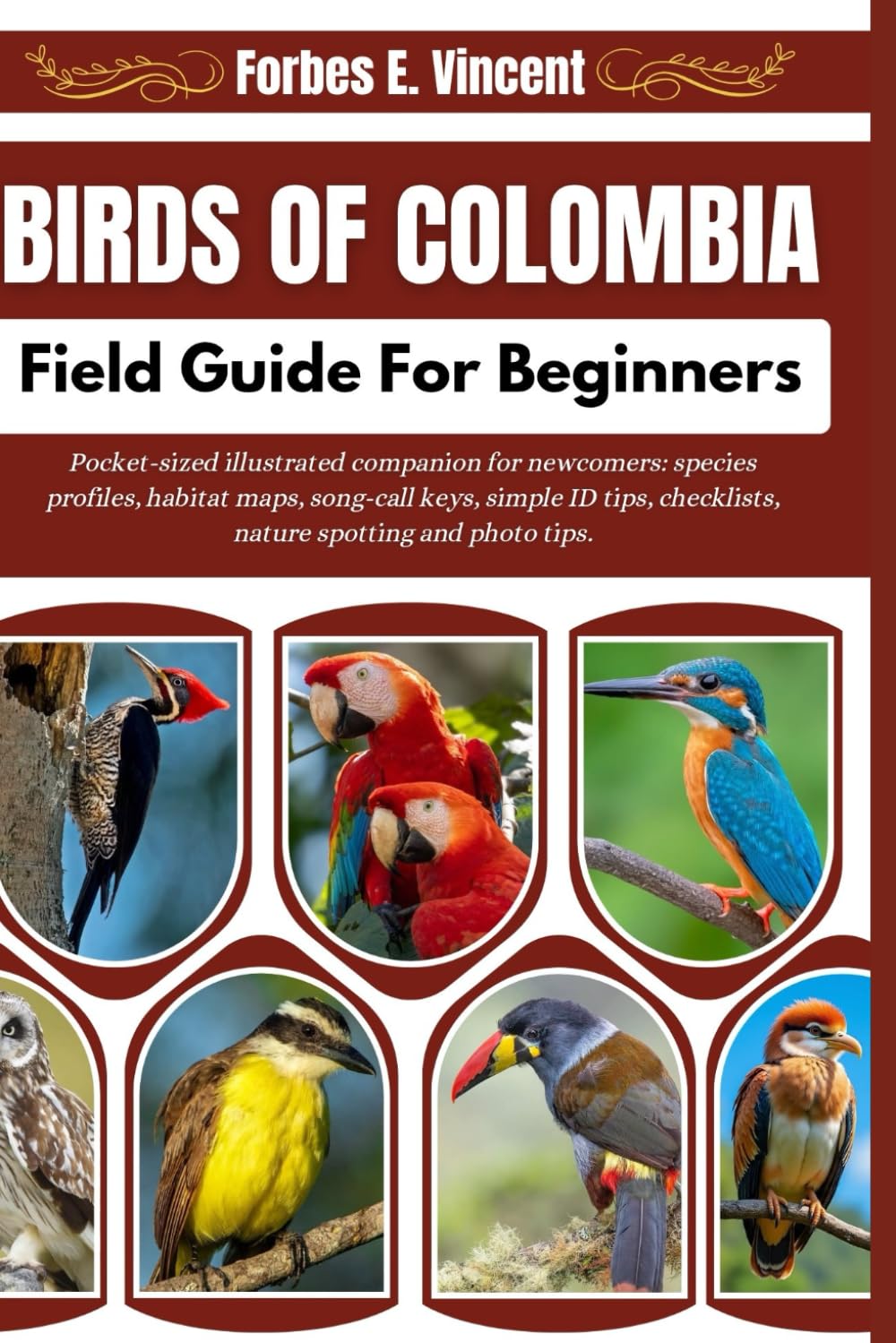 Birds Of Colombia Field Guide For Beginners: Pocket-sized illustrated companion for newcomers: species profiles, habitat maps, song-call keys, simple