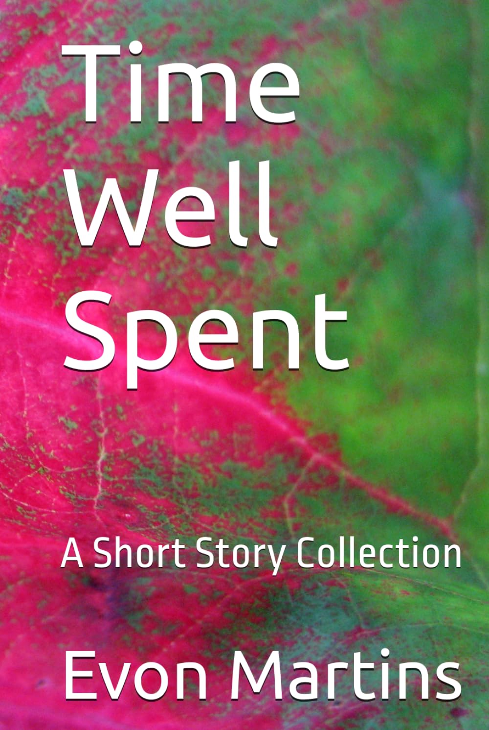 Time Well Spent: A Short Story Collection