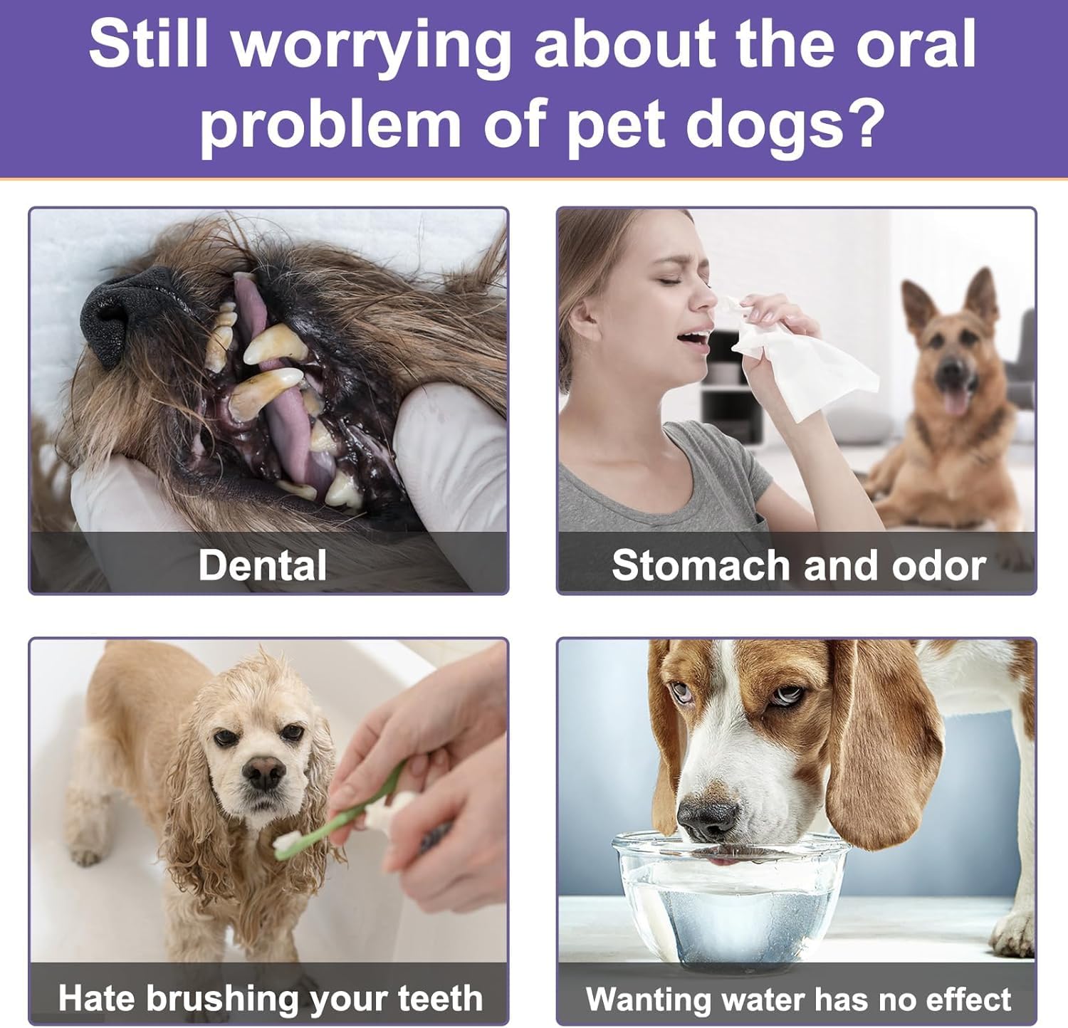 Polvere Sciogli Tartaro Cane, Integratore Naturale per Alito Cattivo, Polvere Dentale Antiplacca e Antitartaro per Cani